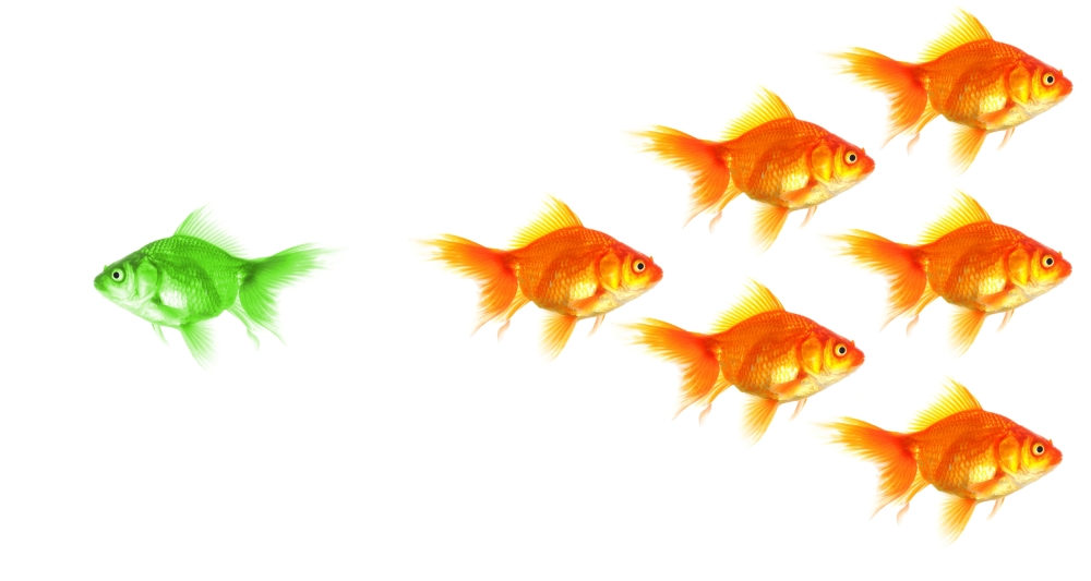 Beware of conventional wisdom