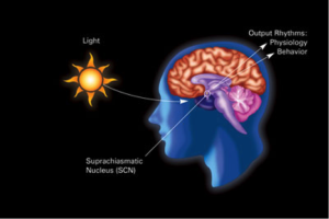 Beyond food: What else impacts how you feel everyday?
