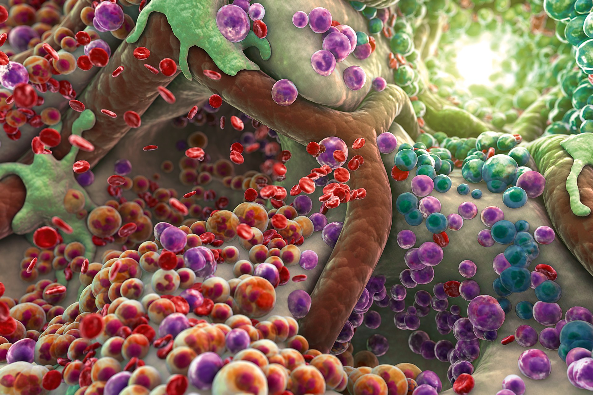 The Thyroid: Beyond the Immune System, part III