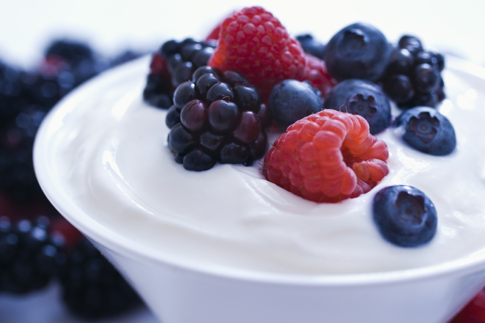 Coconut Yogurt