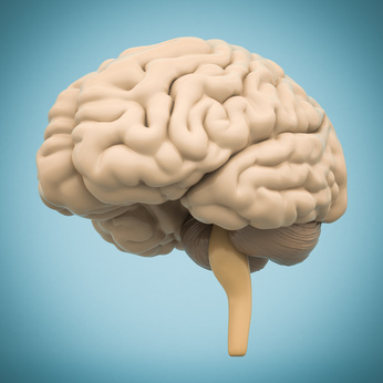 “Know Thy Brain”
